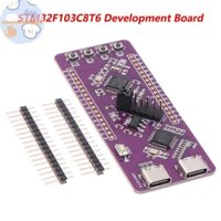 Metertryred STM32F103C8T6 Hệ thống bảng phát triển Tích hợp bảng ST-LINK V2 Đầu đốt mô phỏng TTL Cổng nối tiếp Tải xuống VN