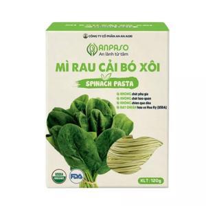 Mì cải bó xôi Anpaso Organic gói 120g