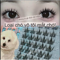 mi cún tự dính không keo chóp mi nhọn tặng nhíp gắn khi mua