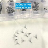 MI FAN 14D DÀY 0.05 MIX (9-13) CONG C - D,  HỘP 1000 FAN - DỤNG CỤ NỐI MI - XƯỞNG MI FAN