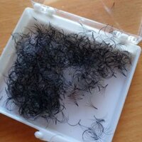 Mi giả- fan sẵn 4d 1000fan