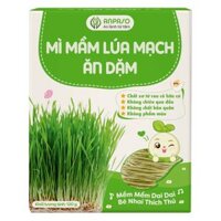 Mì mầm lúa mạch ăn dặm cho bé Anpaso 120g
