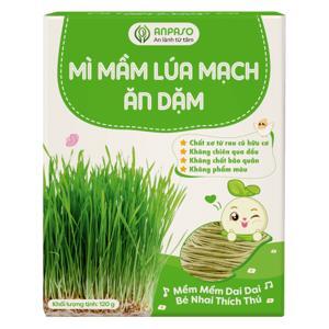 Mì mầm lúa mạch Anpaso Organic gói 120g