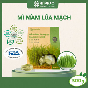 Mì mầm lúa mạch Anpaso Organic gói 300g