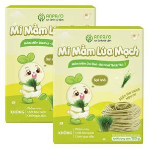 Mì mầm lúa mạch Anpaso Organic gói 120g