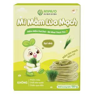 Mì mầm lúa mạch Anpaso Organic gói 120g