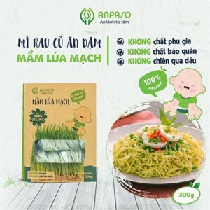 Mì mầm lúa mạch Anpaso Organic gói 300g