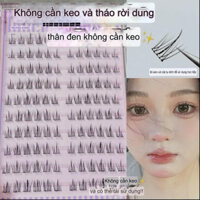 mi tự dính không keo dáng mi chữ V tặng nhíp gắn khi mua