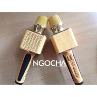 Mic hát di động SD 09