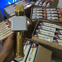 Mic Hát Karaoke Bluetooth SD 09L( Có Đèn LED Nhấp Nháy )