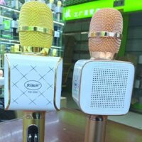 Mic hát karaoke cầm tay