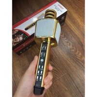 Mic hát karaoke SD-17 - Chính hãng