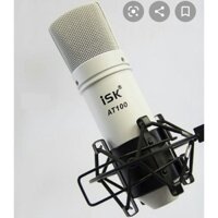 Mic isk AT100 loại 1 (mic Hoa Vinh)