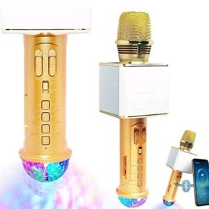 Mic karaoke kèm loa SD-09L