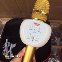mic kèm loa blutooth zbx66