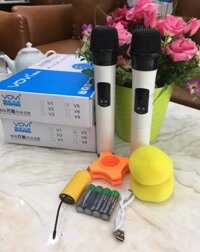 Mic không dây V5 2 mic Bose hát karaoke