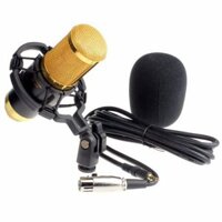 MIC THU ÂM CHUYÊN NGHIỆP BM-850