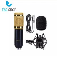 Mic Thu Âm tiện lợi cho các việc hát tại nhà