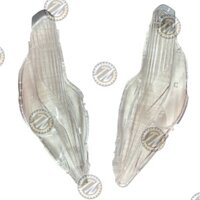 Mica xi nhan trước Lead 125 đời 2018 - 2023