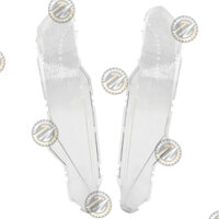 Mica xi nhan trước xe Lead 2013 - 2016