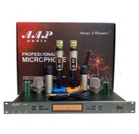 Micro AAP M8II