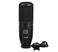 Micro AKG P120