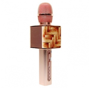 Micro bluetooth karaoke kèm loa YS-10A