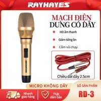 Micrô có dây của Rayhayes cho video Quá trình chất lượng cao