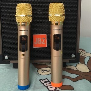 Micro không dây Zansong S28