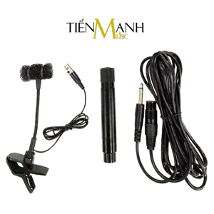 Micro đàn nhị Có Dây Sound Solution DR-813