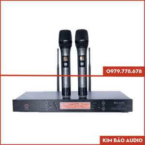 Micro DBacoustic K3