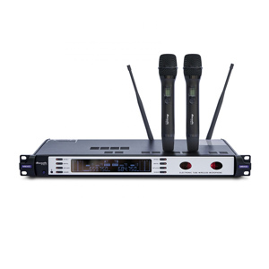 Micro DBacoustic M800D
