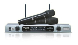 Micro Guinness MU-1250