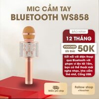 Micro hát Karaoke cầm tay mini bluetooth tích hợp Loa Bluetooth đa năng 6in1 WS-858 - Mic cầm tay mini hát karaoke