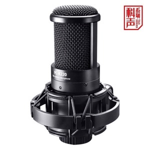 Micro hát karaoke online Takstar PC-K220