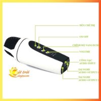 Micro hát karaoke trên điện thoại, máy tính