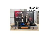 Micro Karaoke AAP M9 Series