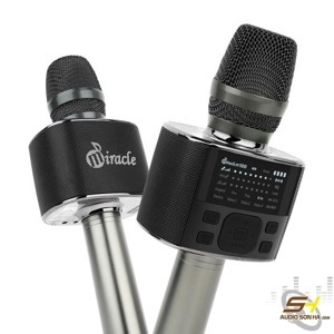 Micro karaoke bluetooth Miracle M100