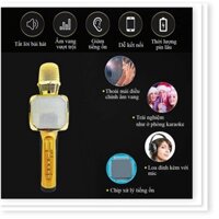 Micro karaoke bluetooth SD 10 mic hát kèm loa đa năng chỉnh giọng, hỗ trợ ghi âm - BH 6 tháng