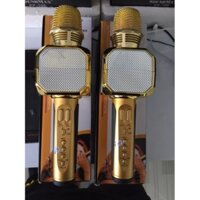 MICRO KARAOKE BLUETOOTH SD 10 sp13