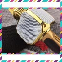 MICRO KARAOKE BLUETOOTH SD10 ĐA NĂNG KIÊM LOA KHÔNG DÂY, ÂM THANH CỰC HAY, MIC BẮT GIỌNG, KẾT NỐI USB, THẺ NHỚ, CỔNG 3.5