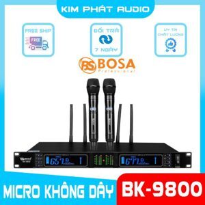 Micro Karaoke Bosa BK9800