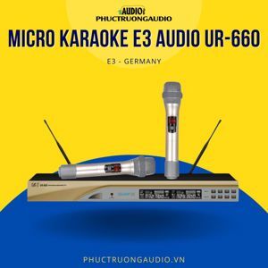 Micro karaoke E3 UR-660