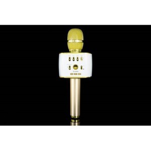 Micro Karaoke iCore IC-M9