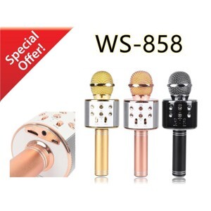 Micro karaoke kèm loa Wster WS858