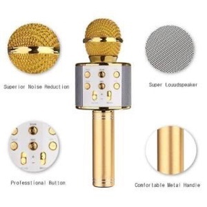 Micro karaoke kèm loa Wster WS858