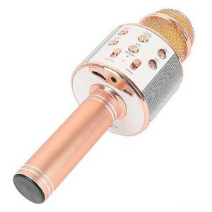 Micro karaoke kèm loa Wster WS858