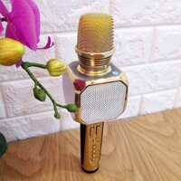 Micro Karaoke Kèm Loa Bluetooth SD10 (Màu ngẫu nhiên) - Hàng Nhập Khẩu