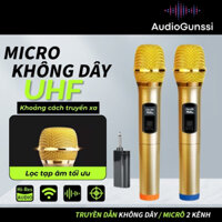 Micro karaoke không dây cầm tay UHF, bộ 2 mic hát karaoke bắt sóng xa, chống hú chuyên dùng cho amply, loa kéo, mixer