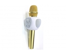 Micro karaoke kiêm loa YHSJ-007